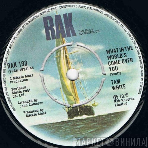 Tam White - What In The World's Come Over You