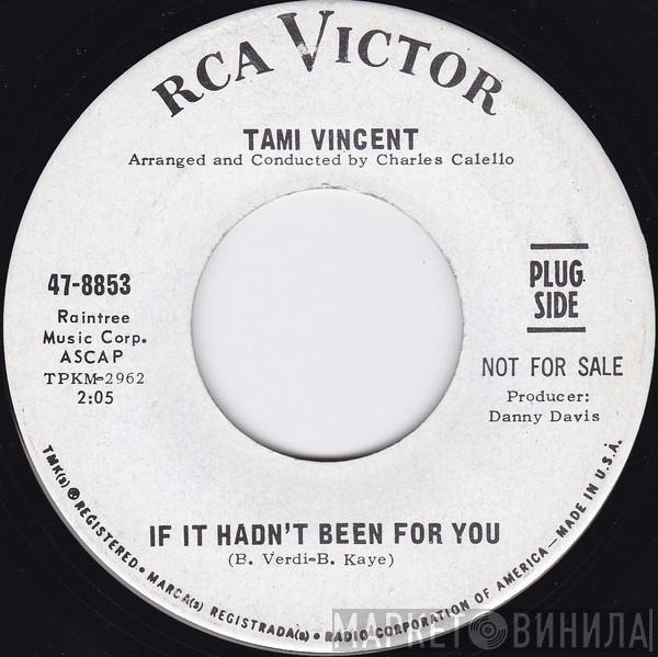 Tami Vincent - If It Hadn't Been For You