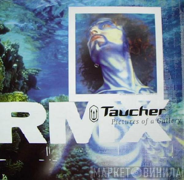 Taucher - Pictures Of A Gallery (Remix)