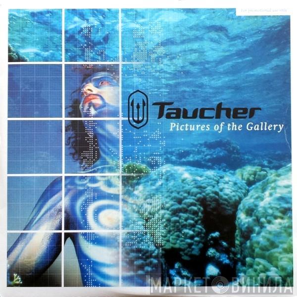 Taucher - Pictures Of The Gallery