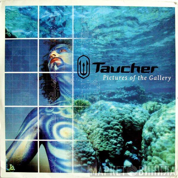  Taucher  - Pictures Of The Gallery