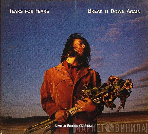 Tears For Fears - Break It Down Again