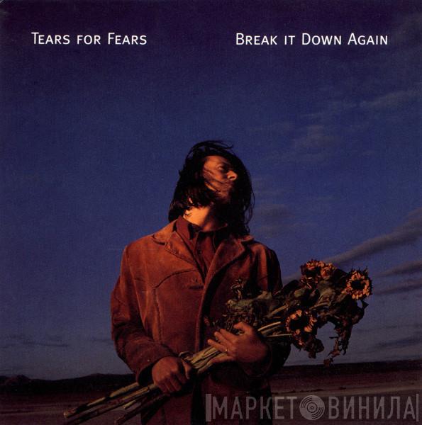 Tears For Fears - Break It Down Again