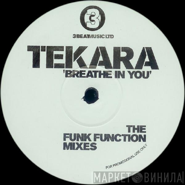 Tekara, Lucy Cotter - Breathe In You (The Funk Function Mixes)