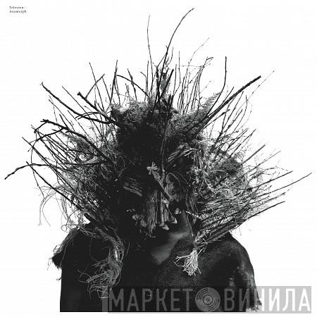 Teleseen - Anamorph