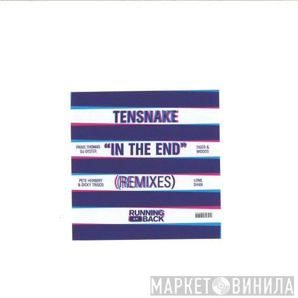 Tensnake - In The End Remixes