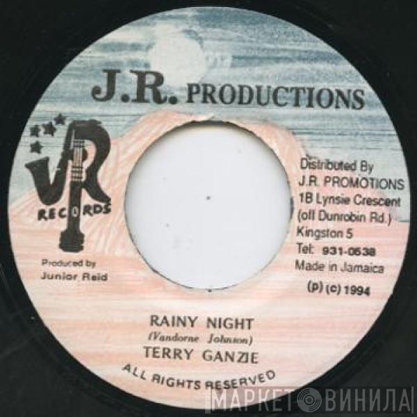Terry Ganzie - Rainy Night