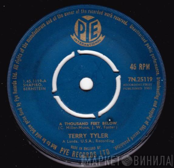 Terry Tyler - A Thousand Feet Below