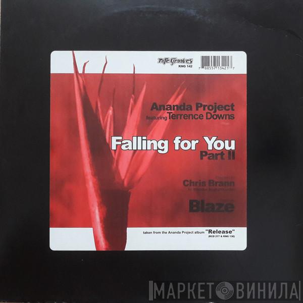 The Ananda Project, Terrance Downs - Falling For You (Part II)