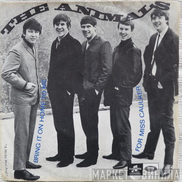  The Animals  - Bring It On Home To Me