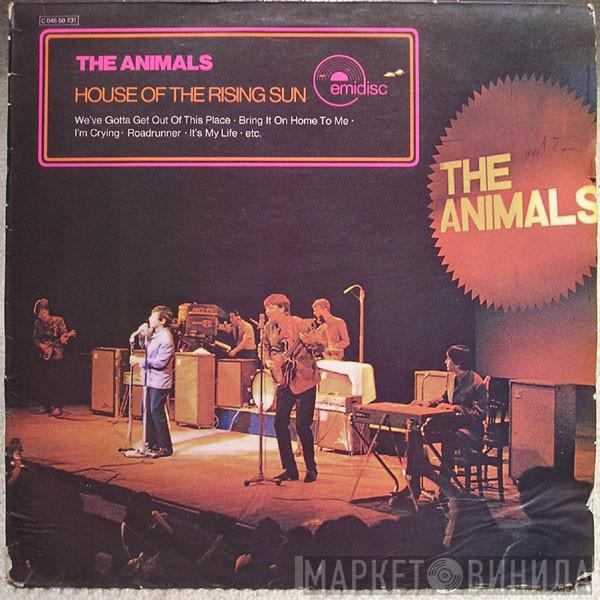  The Animals  - House Of The Rising Sun