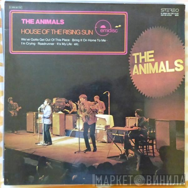  The Animals  - House Of The Rising Sun