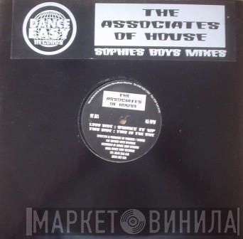 The Associates Of House - Shake It Up / This Is The One (Sophies Boys Mixes)