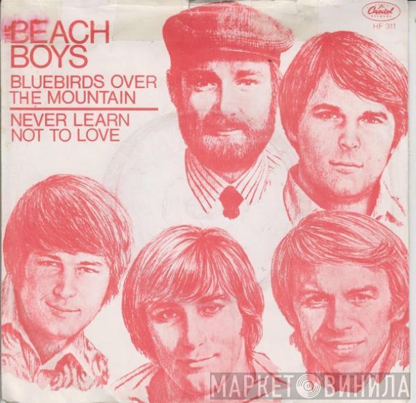 The Beach Boys - Bluebirds Over The Mountain