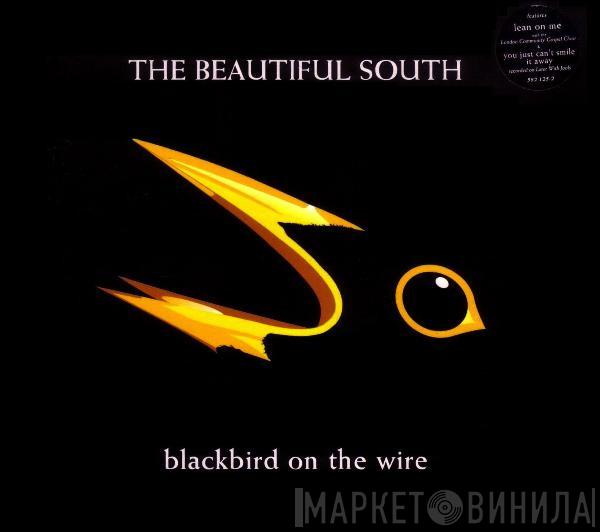The Beautiful South - Blackbird On The Wire
