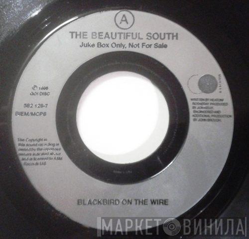 The Beautiful South - Blackbird On The Wire