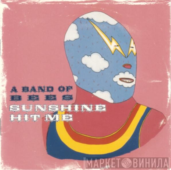  The Bees  - Sunshine Hit Me