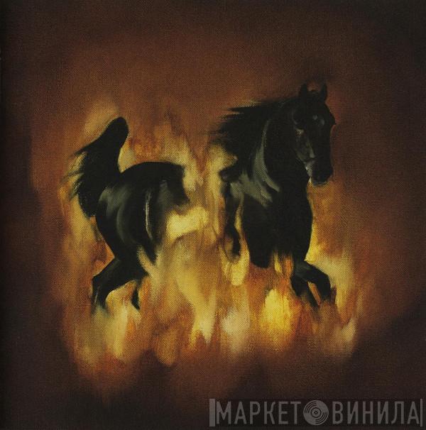 The Besnard Lakes - The Besnard Lakes Are The Dark Horse