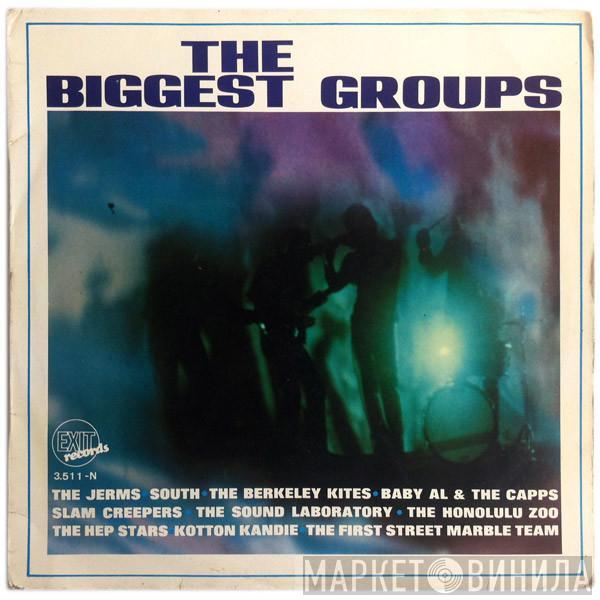  - The Biggest Groups