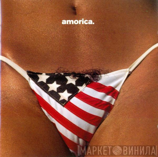 The Black Crowes - Amorica