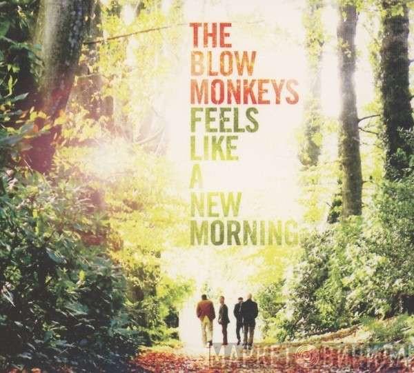 The Blow Monkeys - Feels Like A New Morning