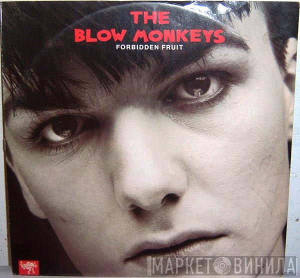 The Blow Monkeys - Forbidden Fruit