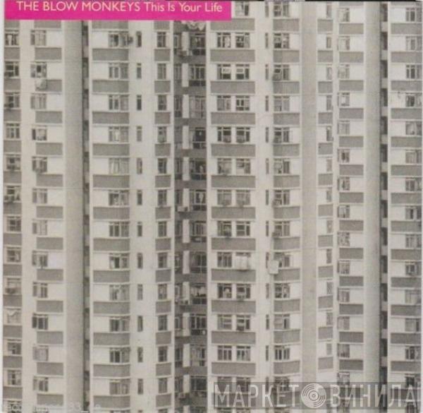 The Blow Monkeys - This Is Your Life