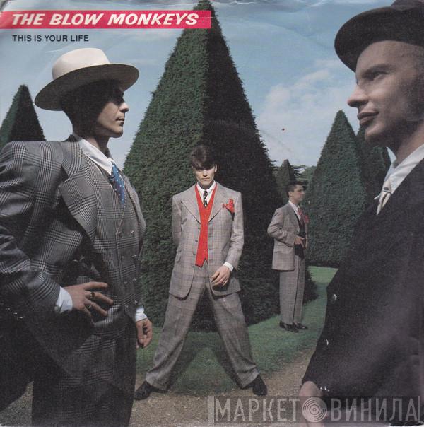 The Blow Monkeys - This Is Your Life