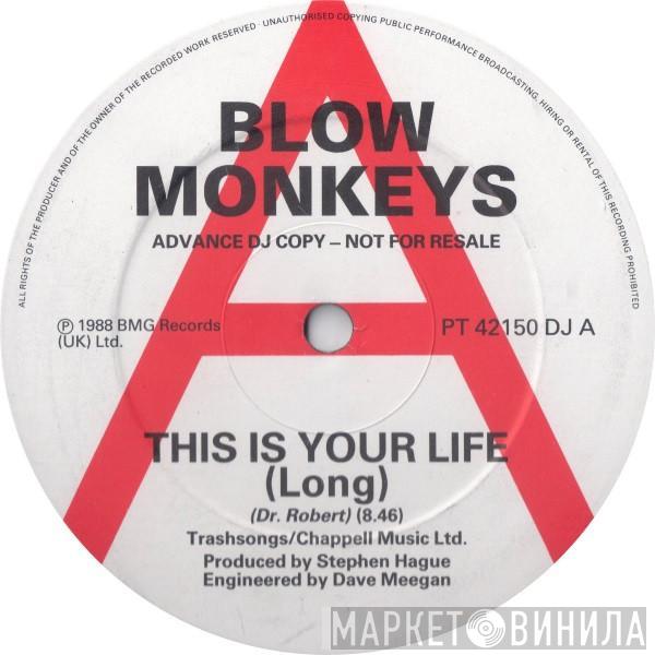 The Blow Monkeys - This Is Your Life