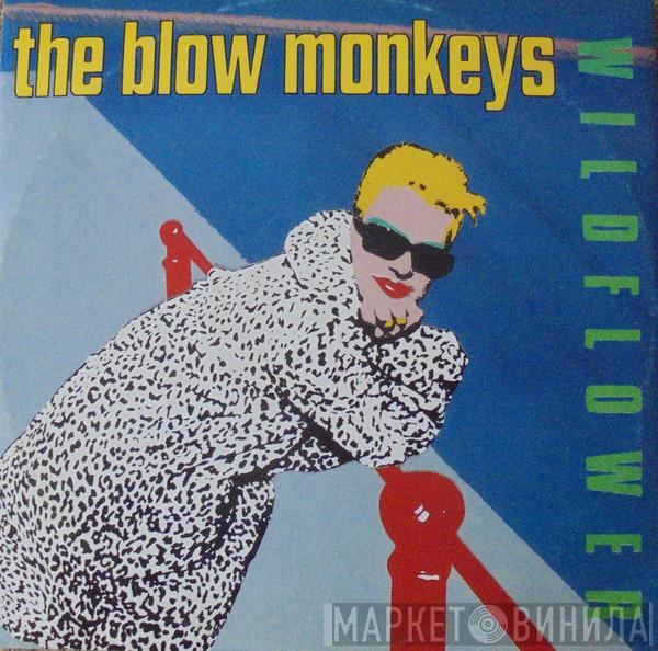 The Blow Monkeys - Wildflower
