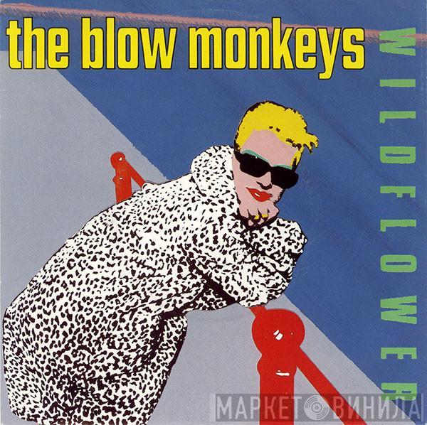 The Blow Monkeys - Wildflower