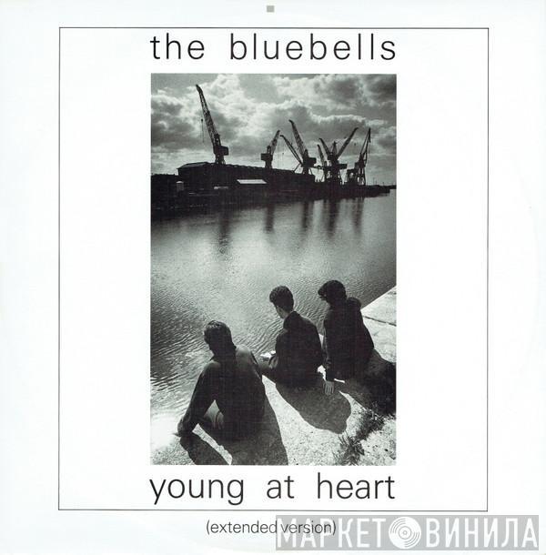 The Bluebells - Young At Heart