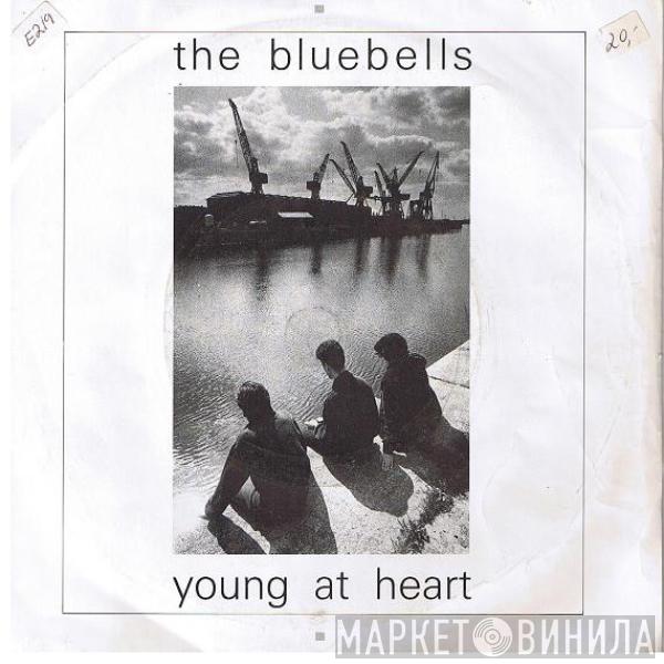 The Bluebells - Young At Heart