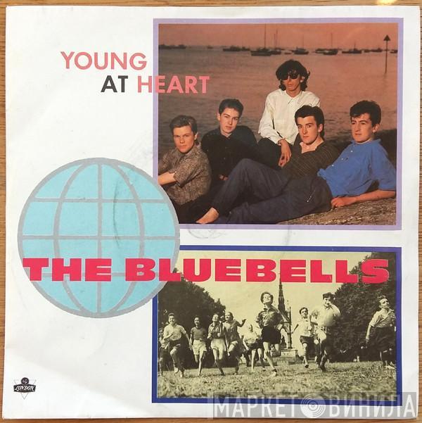 The Bluebells - Young At Heart