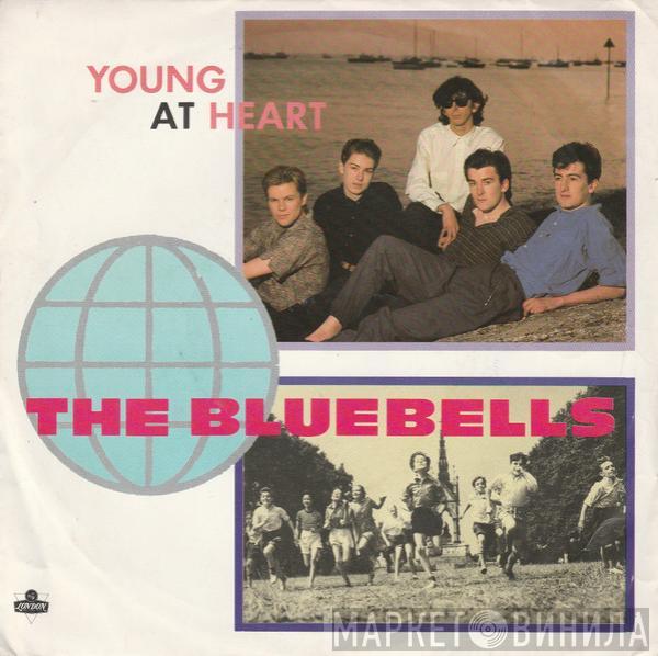 The Bluebells - Young At Heart