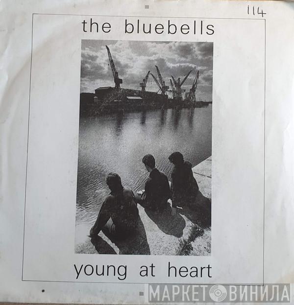 The Bluebells - Young At Heart