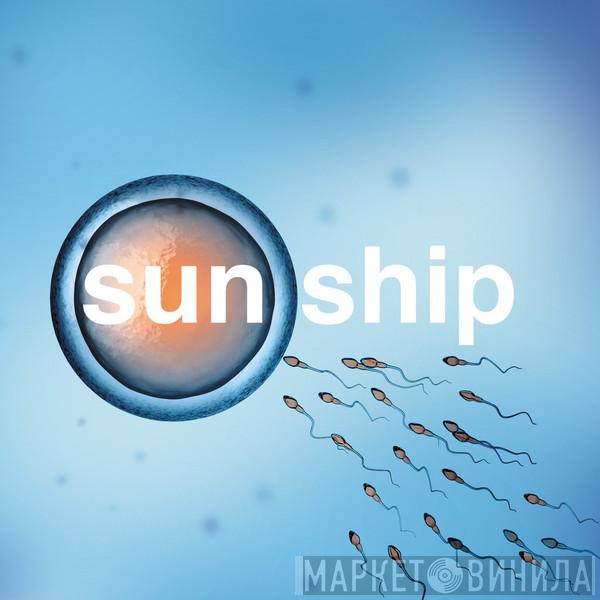 The Brian Jonestown Massacre - The Sun Ship