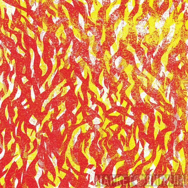  The Bug  - Fire