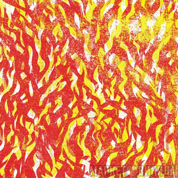  The Bug  - Fire