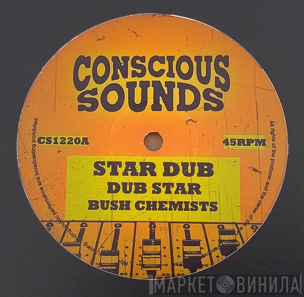 The Bush Chemists, Rapha Pico - Star Dub / Change Must Come
