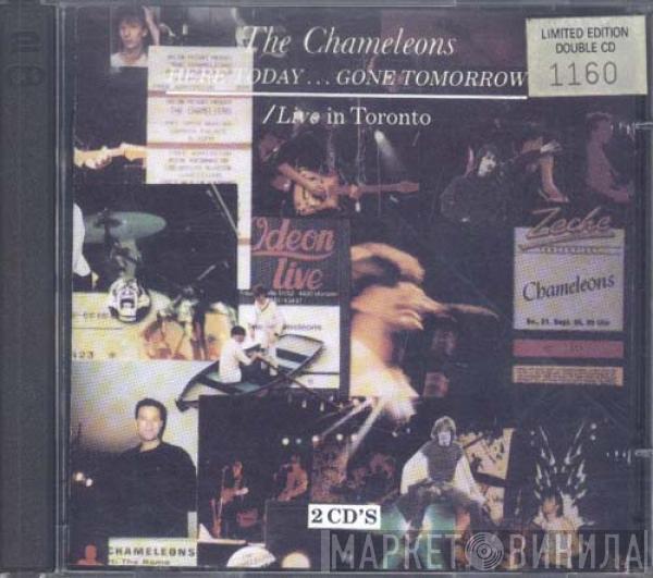 The Chameleons - Here Today... Gone Tomorrow / Live In Toronto