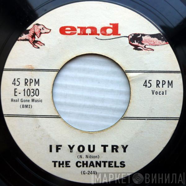  The Chantels  - If You Try / Congratulations