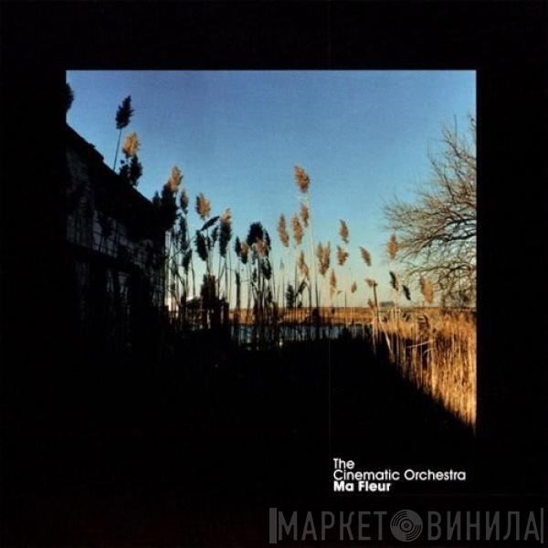  The Cinematic Orchestra  - Ma Fleur