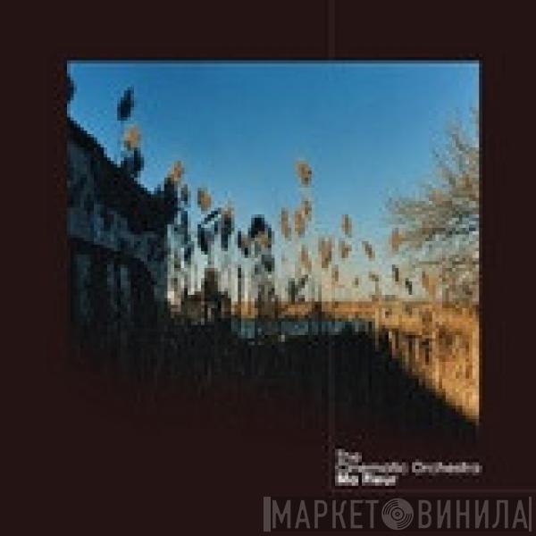  The Cinematic Orchestra  - Ma Fleur