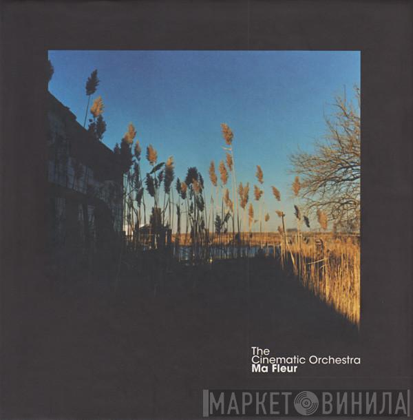 The Cinematic Orchestra - Ma Fleur