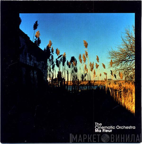 The Cinematic Orchestra  - Ma Fleur