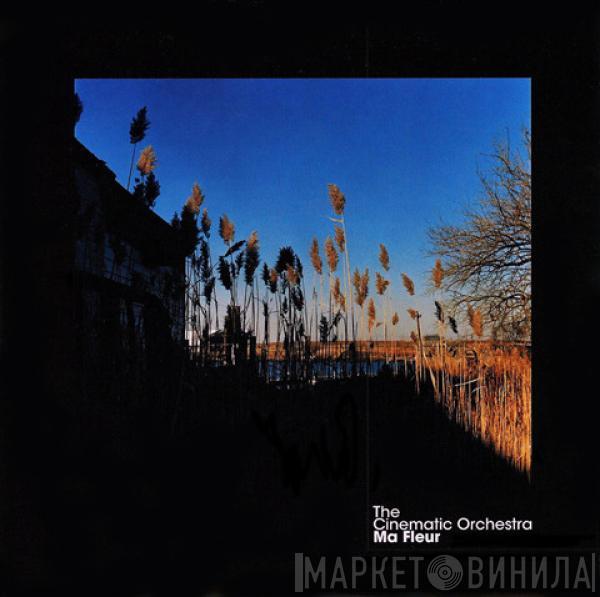  The Cinematic Orchestra  - Ma Fleur