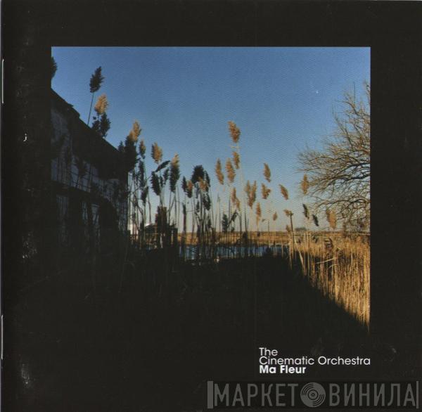  The Cinematic Orchestra  - Ma Fleur
