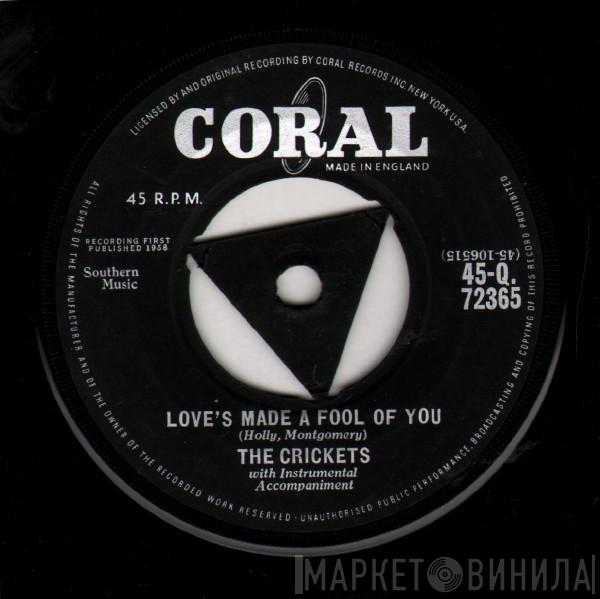 The Crickets  - Love's Made A Fool Of You