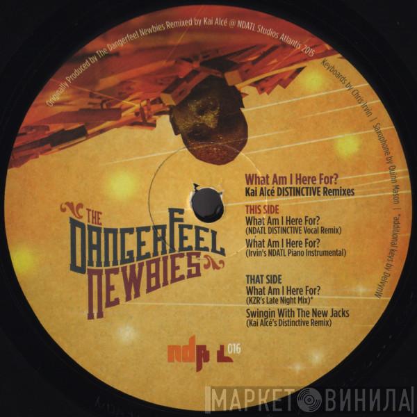 The Dangerfeel Newbies - What Am I Here For? (Kai Alcé DISTINCTIVE Remixes)